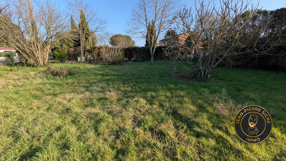 Terrain — photo 1