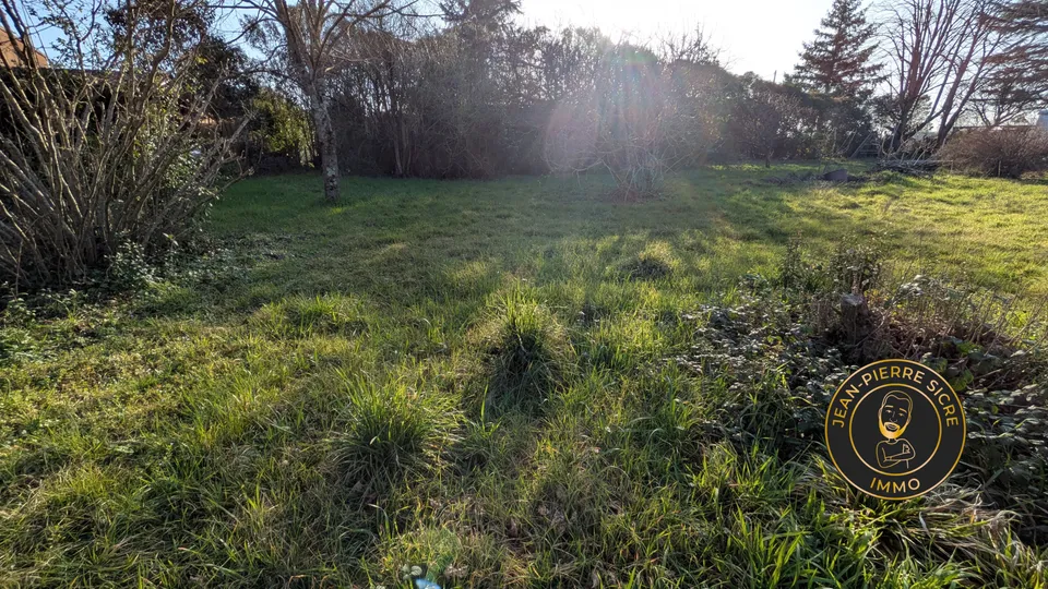 Terrain — photo 2