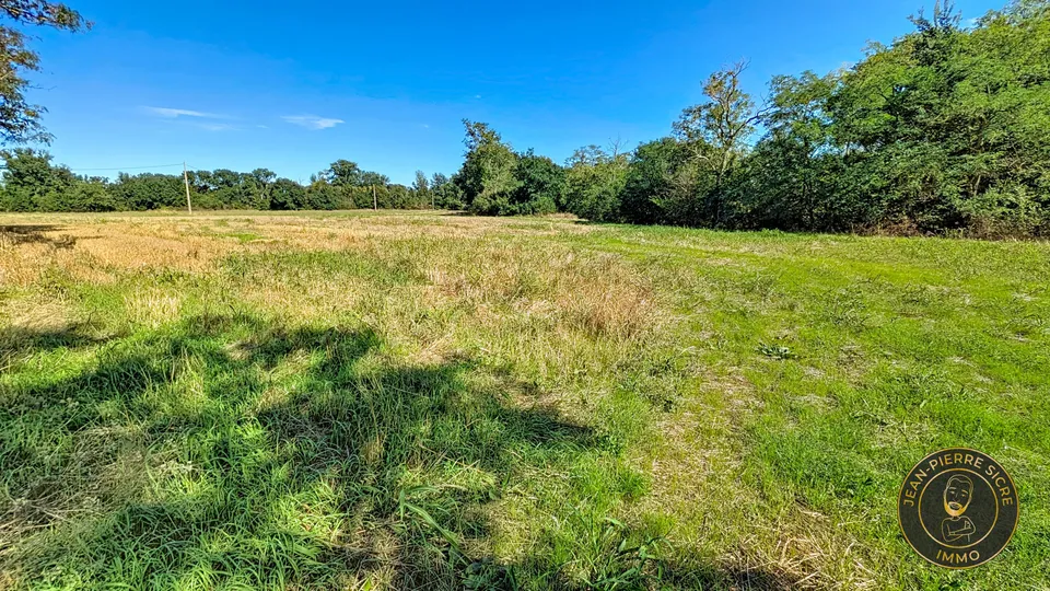 Terrain — photo 1