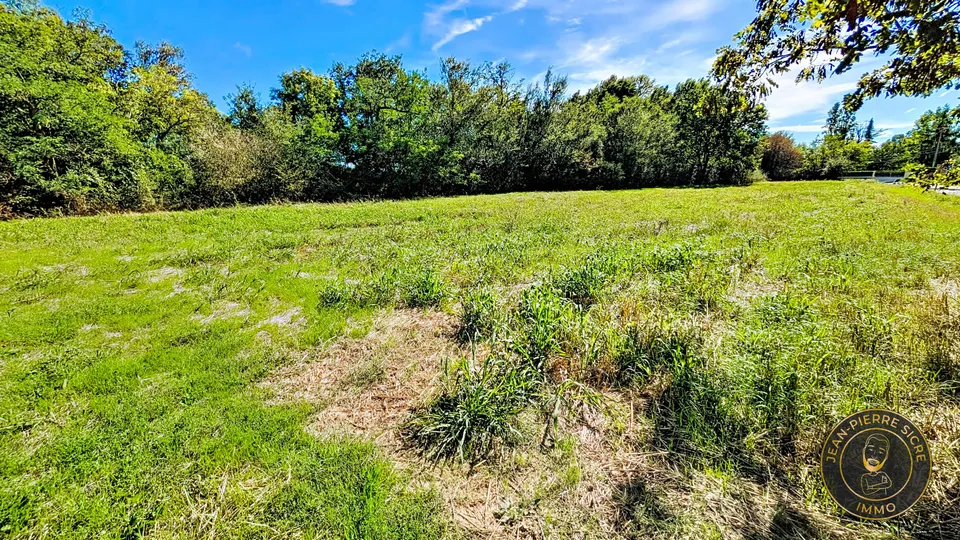 Terrain — photo 2